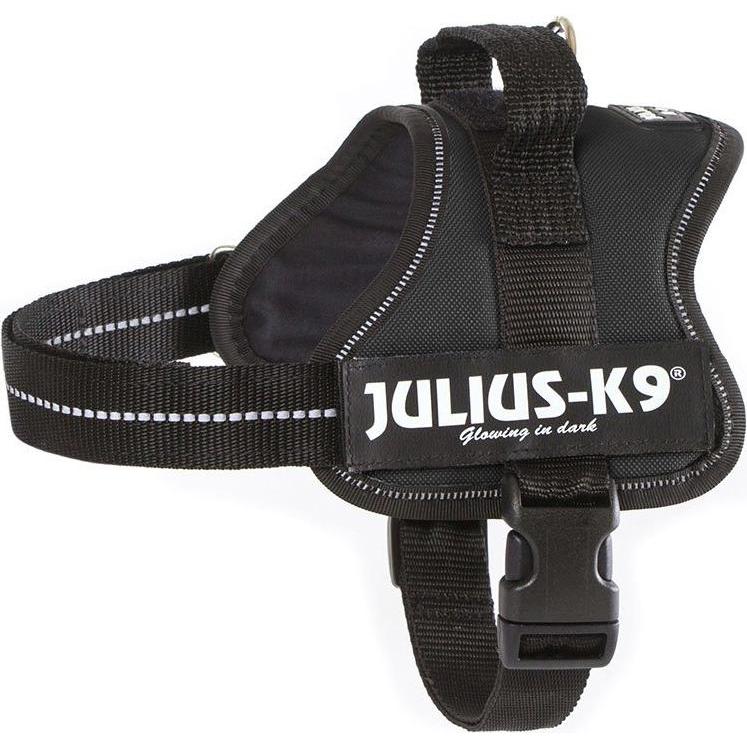 Thumbnail - Julius-K9 Powergeschirr für kleinere Hunde ergonomisch (M, Hund, Allgemein), Halsband + Leine