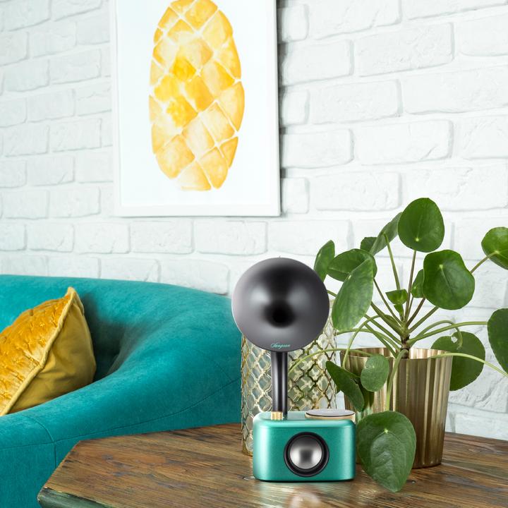 Actual product image Sangean CP 100D (DAB+, Bluetooth)