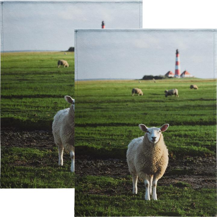 Produktbild Erwin Müller Geschirrtuch 2er-Pack (70 x 50 cm)