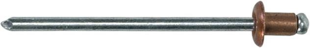 Immagine prodotto Gesipa Rivetto cieco.3.0x 8 F rame (500