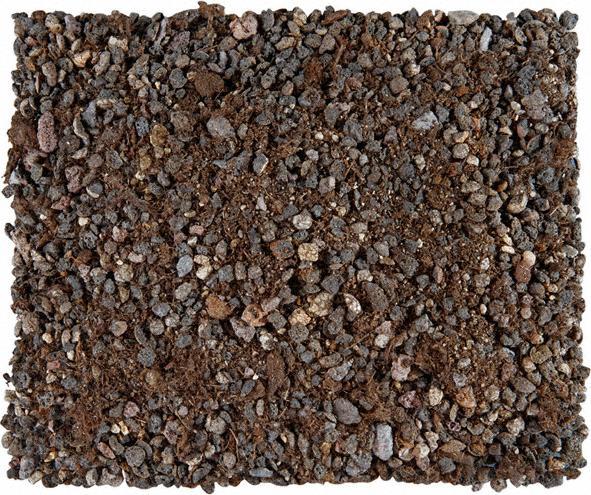Produktbild Lechuza Terrapon (15 l)