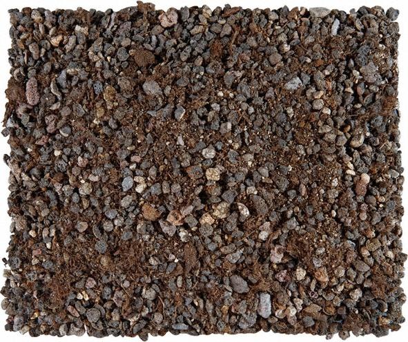 Produktbild Lechuza Terrapon (15 l)