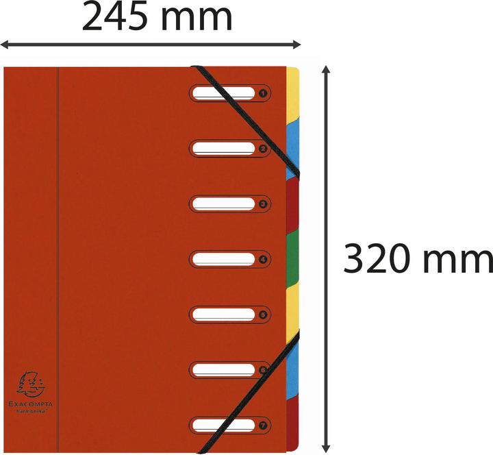 Actual product image Exacompta HARMONIKA - A4 file folders (A4, 1x)