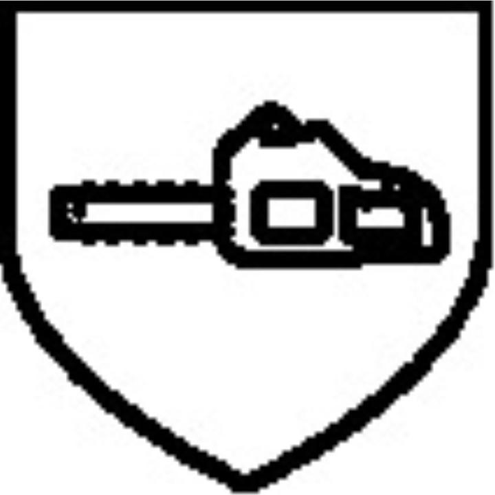 Actual product image BRW Forestry dungarees (58)