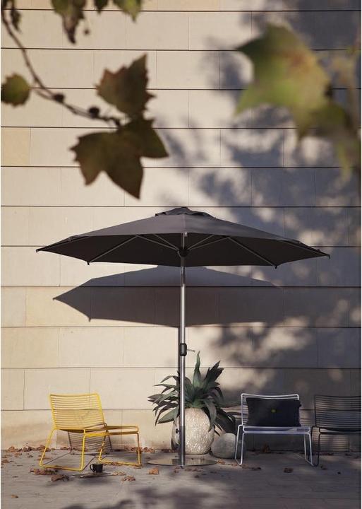 Actual product image Sorara Apple