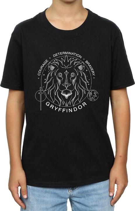 Immagine prodotto Gryffindor Seal Maglietta Ragazzi (116)
