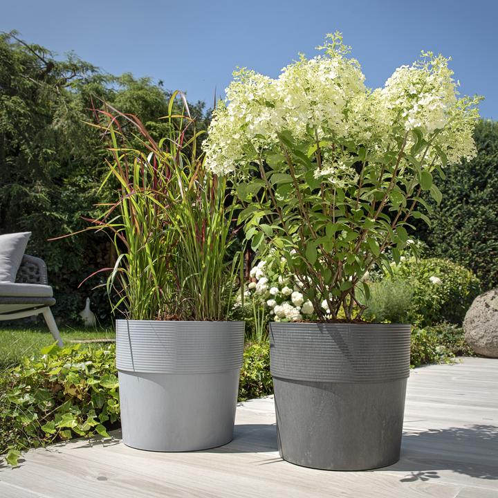 Image du produit Scheurich Groove+ (38 x 35.20 cm)