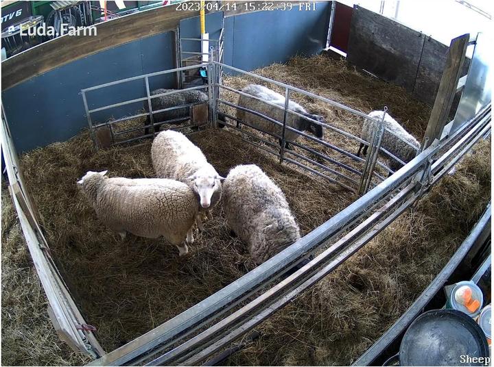 Image du produit LudaFarm FarmCam Flex 5MP (2560 x 1920 pixels)