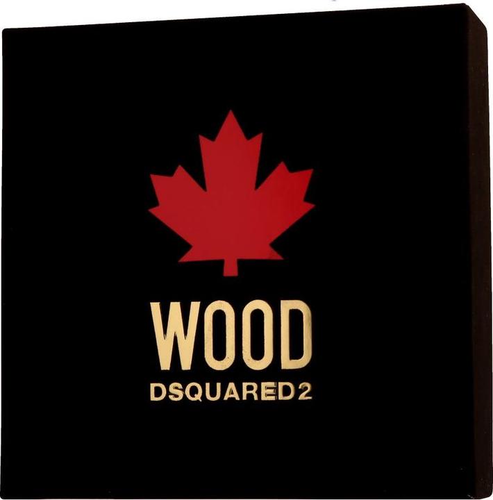 Dsquared2 Wood Pour Homme Giftset Eau de toilette 30 Ml A 50 Ml (Parfum Set)