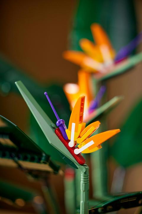 Actual product image LEGO Bird of Paradise (10289, LEGO Rare Sets)