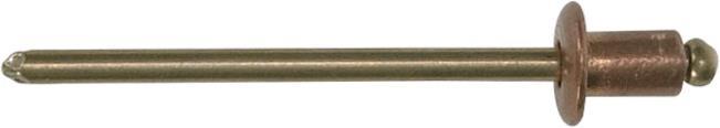 Immagine prodotto Gesipa Rivetti ciechi 4,0x 6mm, rame/bronzo