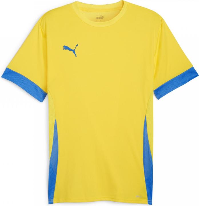 Image du produit Puma teamGOAL Matchday Jersey (L)