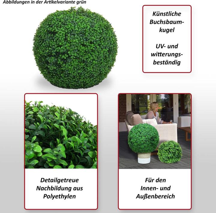 Produktbild JOHN316 Buchsbaum (55 cm)