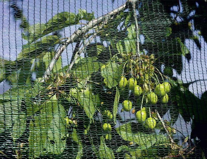 Image du produit Stocker Garden Filet paragrêle