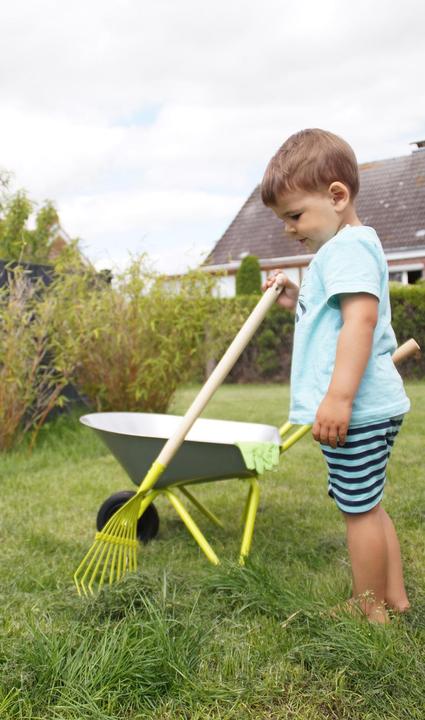 Actual product image small foot Wheelbarrow with garden tools
