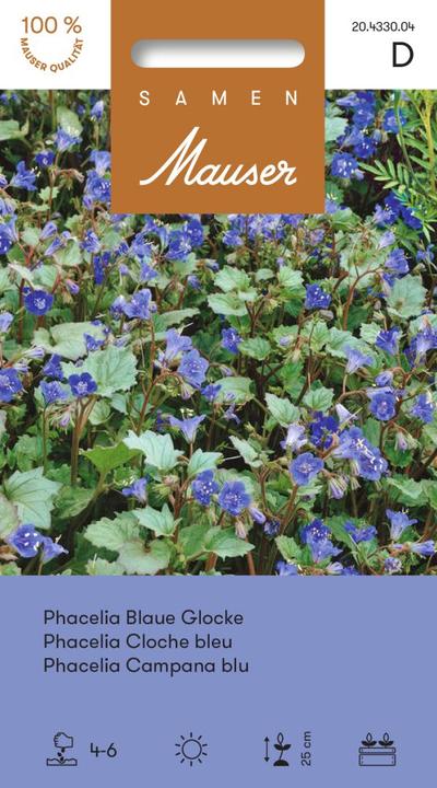Samen Mauser Phacelia Blaue Glocke (Blumensamen)
