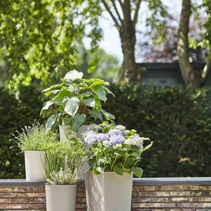 Immagine prodotto Siena Garden Fioriera ECO Lens bianca Ø 25x25,5 cm