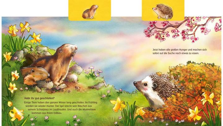 Immagine prodotto Cosa fanno gli animali in primavera? (Anna Karina Birkenstock, Tedesco)