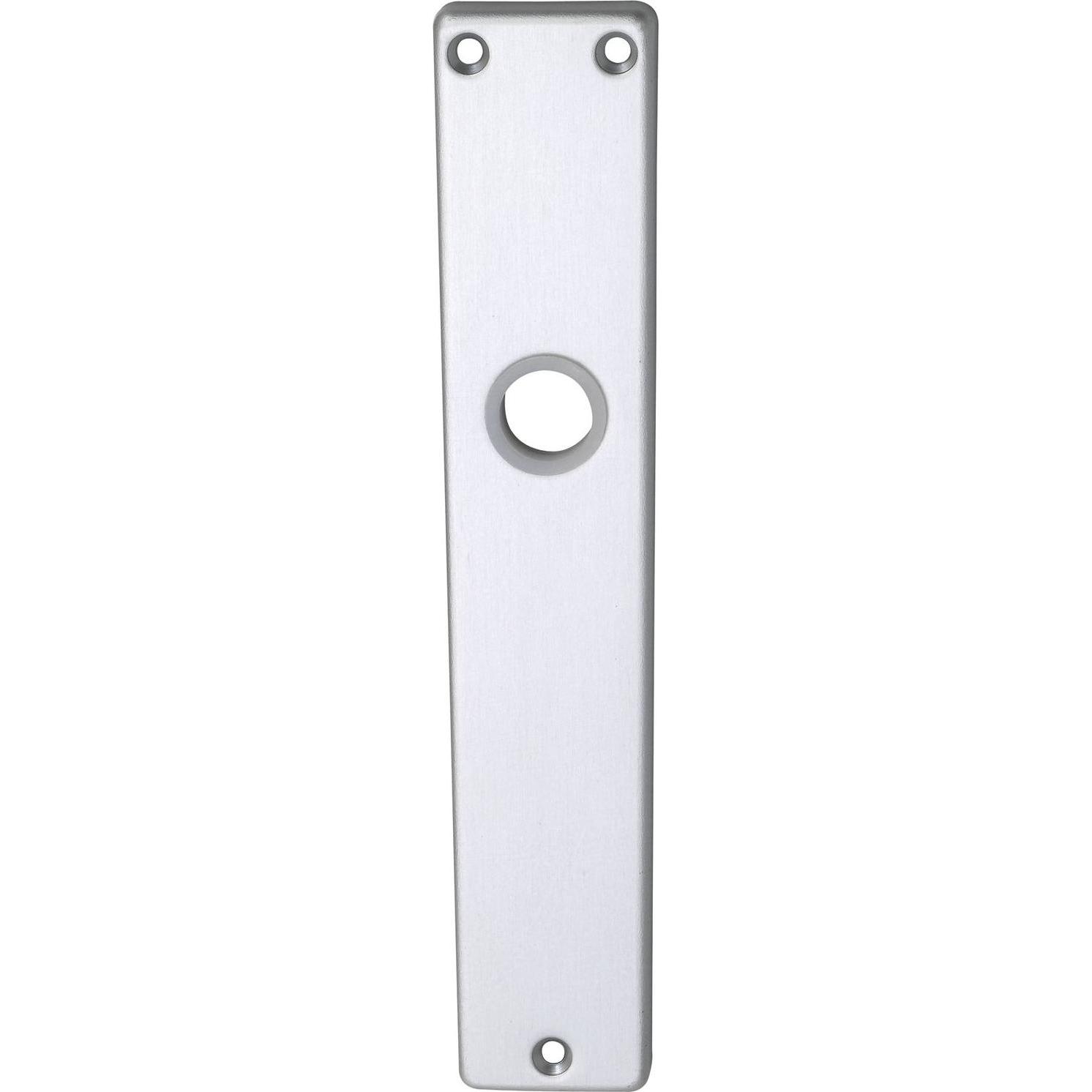 Brialma, Türgriff + Fenstergriff, Langschild EUROPA, ungelocht, silber eloxiert (Türschild)