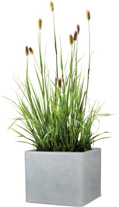 Produktbild Scheurich Alea (38 x 38 x 33 cm)