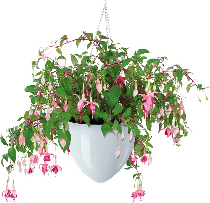 Image du produit Scheurich Skyhanger