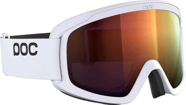 Ski goggles