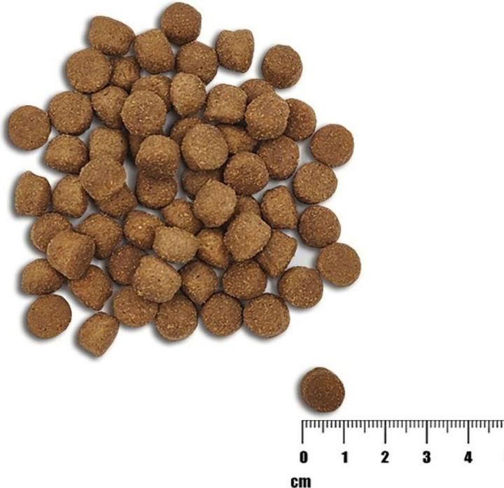 Immagine prodotto Raw Paleo Salmone e orzo per cuccioli Healthy Grain (Cucciolo + gattino, 1 pz., 10000 g)