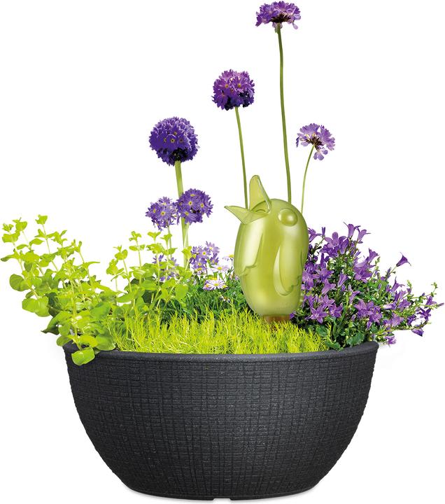 Produktbild Scheurich Barceo Bowl (39 x 17 cm)