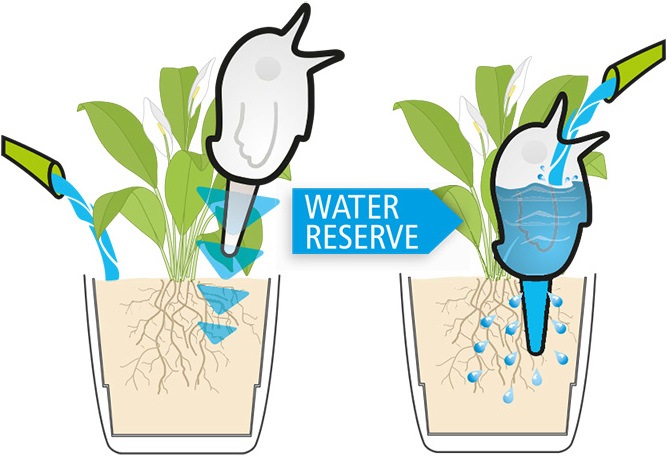 Image du produit Scheurich Bördy (Cône d'argile Irrigation)