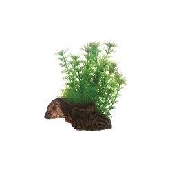 Dohse Flora Root 3, S, 17 cm (Dekoration, Pflanzen), Aquarium Dekoration