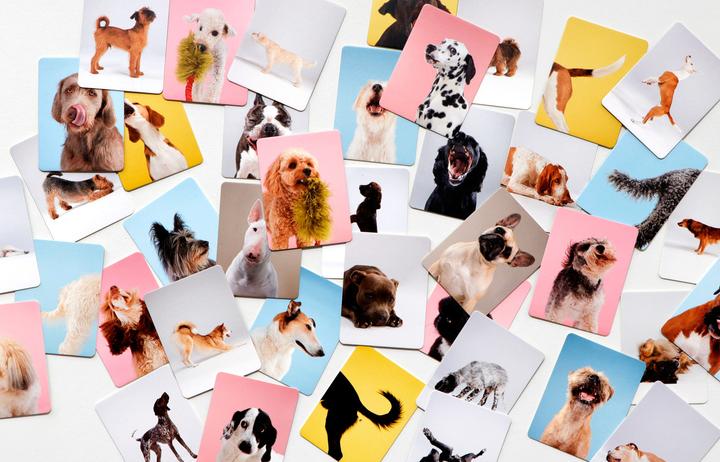 Produktbild Hundesprache (Deutsch, 1 - 2 Spieler)