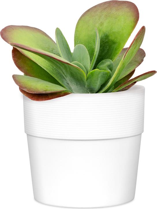 Produktbild Scheurich Groove 30 (28 x 28 cm)