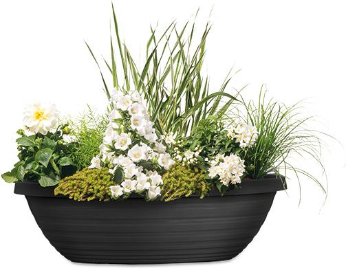Produktbild Scheurich Country Star Jardiniere (49 cm)