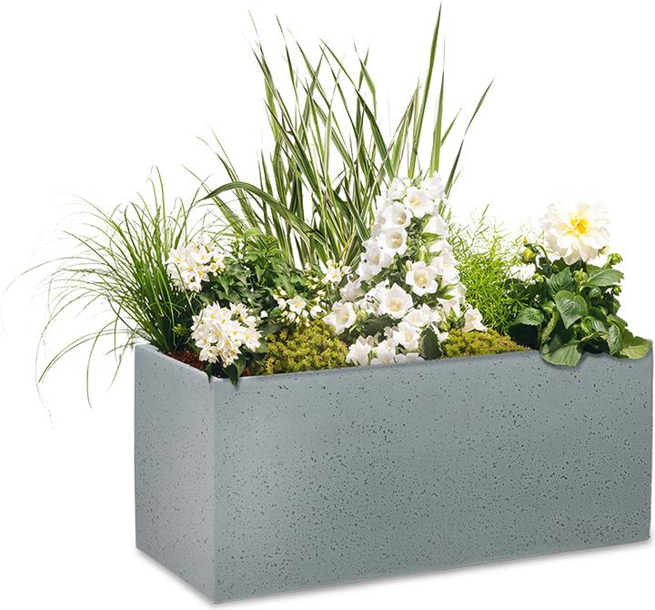 Produktbild Scheurich C-Cube (25 cm)
