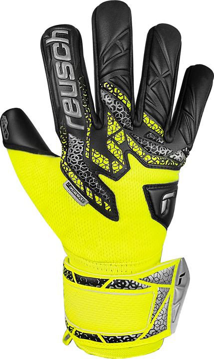 Produktbild Reusch Attrakt Gold X NC (7)