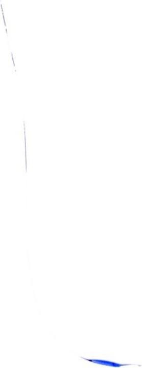 Actual product image Craftland WICA Halbschuh Marlow, S1P, SRA, Gr. 47 (S1P, 47)