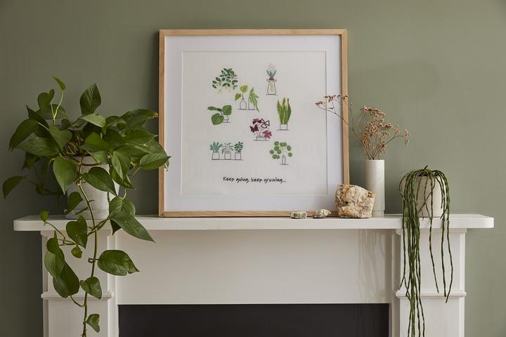 Immagine prodotto DMC Gift of Stitch Set da ricamo piante da interno