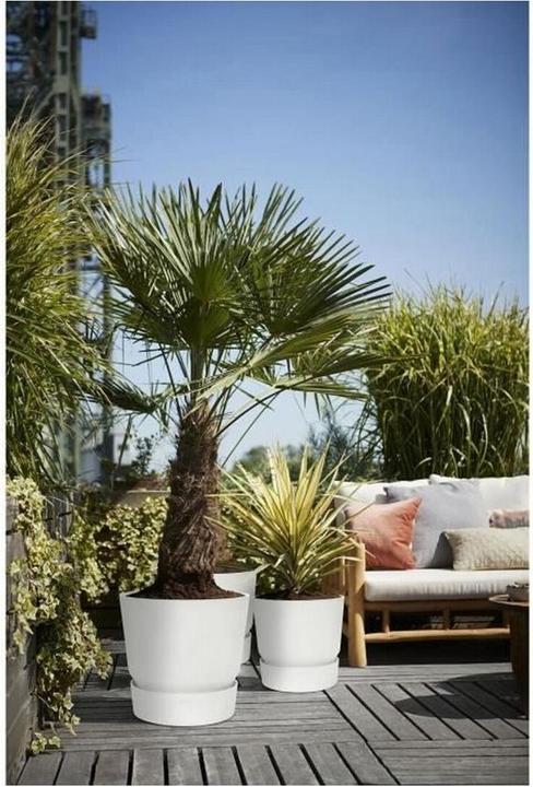 Produktbild Elho Greenville (29.50 x 29.50 x 27.80 cm)