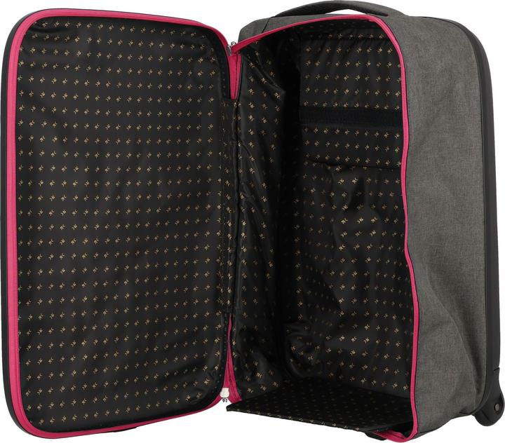 Actual product image Rollink Flex 21 2 Rollen Kabinentrolley 55 cm (40 l)