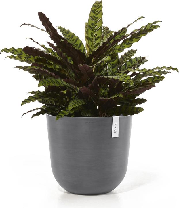 Produktbild Ecopots Oslo (45 cm)