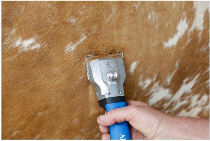 Actual product image Kerbl Cordless clipper Bonum cattle, 1 battery, blue (Vault)