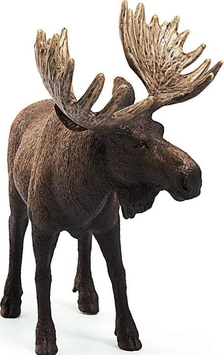 Produktbild Schleich Elch Bull
