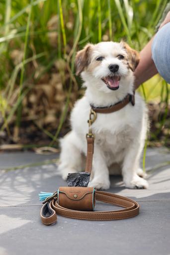 Actual product image Beeztees Bz Balacron Barf Bag Dispenser O (Dog)