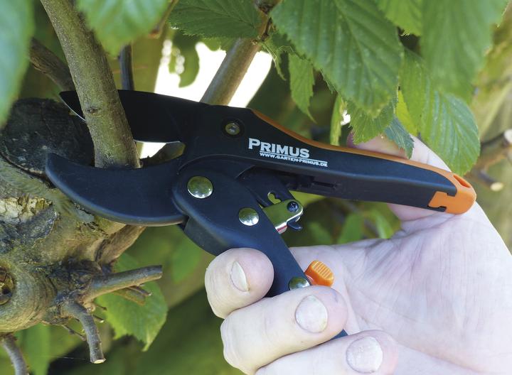 Produktbild Garten Primus Damen-Ratschenschere