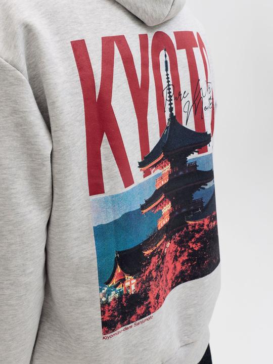 Produktbild Jack & Jones Kapuzenpullover Kapuzenpullover (XXL)