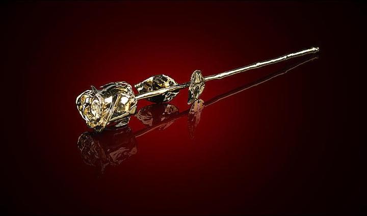 Actual product image St. Leonhard Real rose forever beautiful