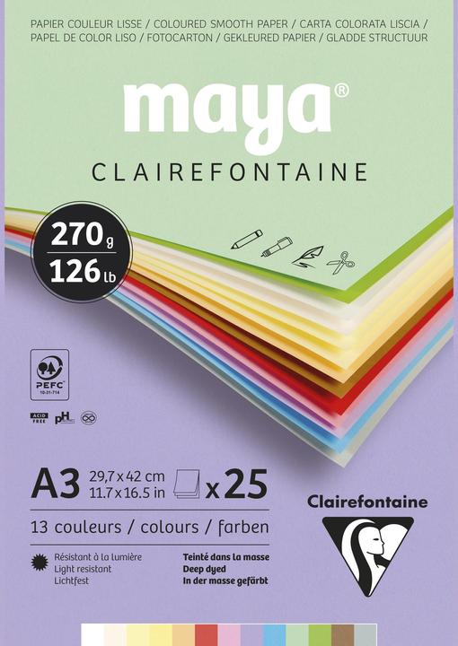Actual product image Clairefontaine Coloured drawing (54 x)