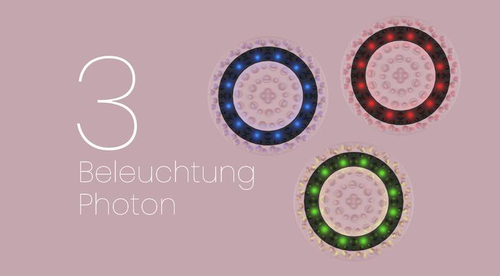 Productafbeelding Beautifly B-Body