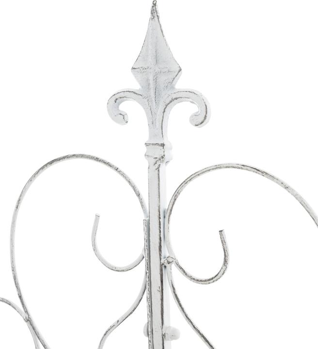 Immagine prodotto CLP Mandevilla a traliccio, bianco antico (1 cm, 99 cm)