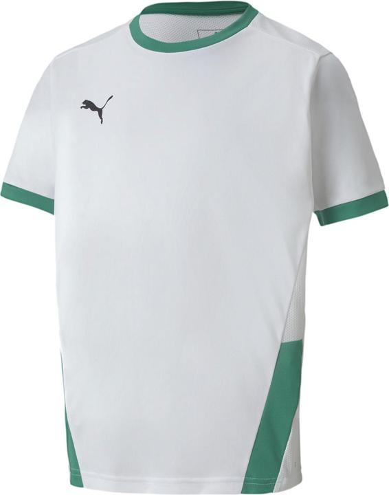 Actual product image Puma teamGOAL 23 Jersey jr-704160 (128)